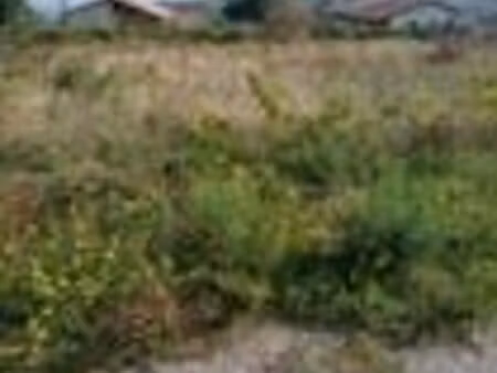 vente terrain malleval