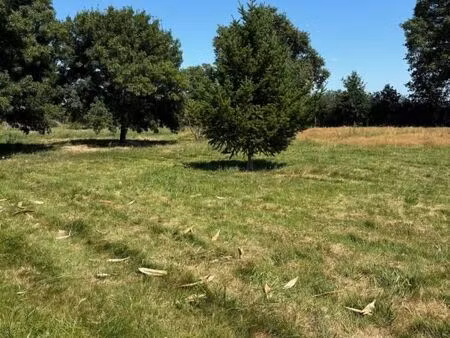 terrain 550 m² tournefeuille