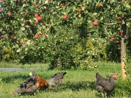 recherche terrain agricole ou de loisir