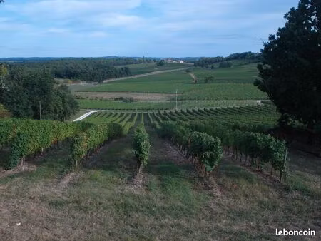vignes monbazillac