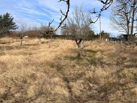 terrain constructible