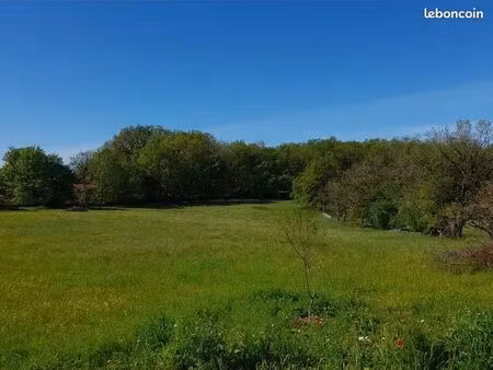 terrain viabilisé constructible