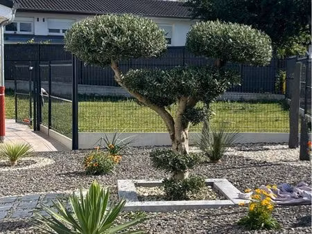 maison individuelle à rombas