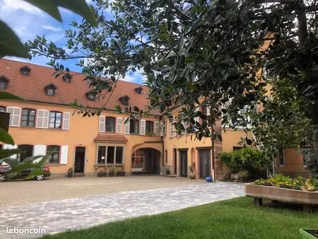 loue charmant 2 pièces molsheim