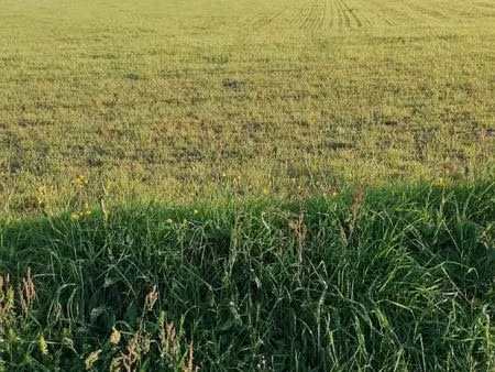 terrain 1 225 m² inguiniel