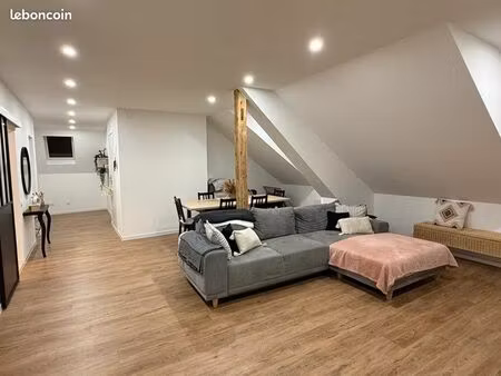 grand f3 de 108m2 - refait à neuf