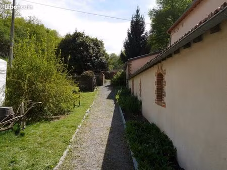 domaine viticole bio en anjou - clés en main – 10 ha – chalonnes-sur-loire – vallée de la 