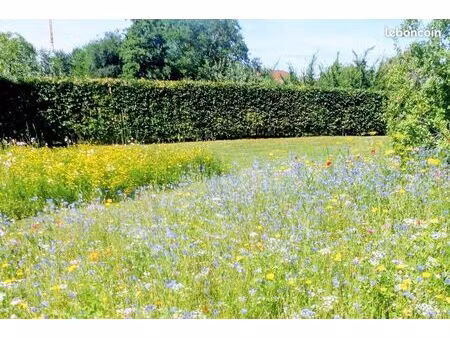 terrains à riom viabilisés