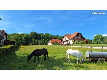 terrain 587 m² steinsoultz