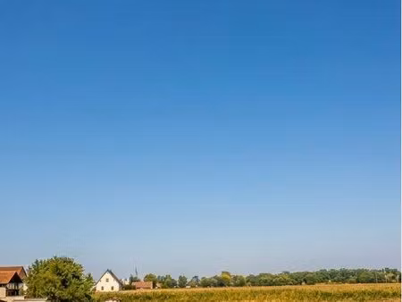 rare – terrain constructible vendenheim – possible 1 ou 2 maisons – proche shopping promen