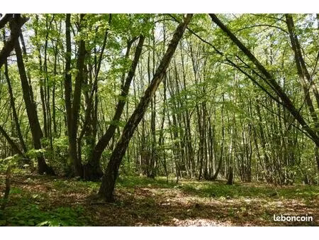 recherche bois pour terrain de loisir