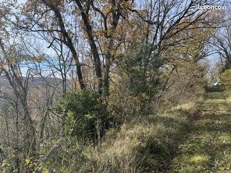 forêt 40 170 m² saint pierre de clairac