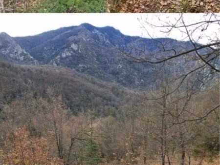 terrain 4000m2 à vendre