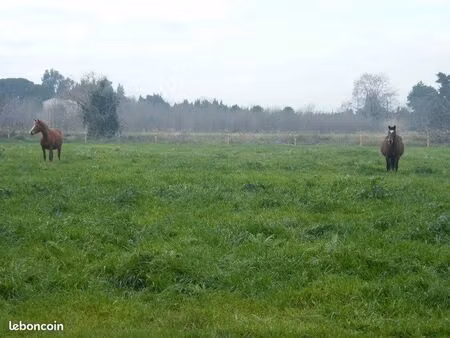 terrain agricole et loisirs a 2km mer toutes tailles de parcelles toutes utilisation possi