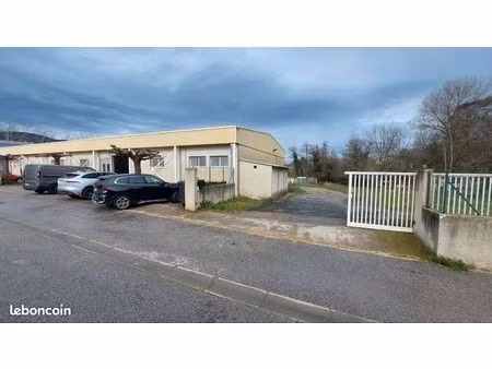 local professionnel 320m2