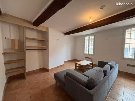 spacieux appartement centre village