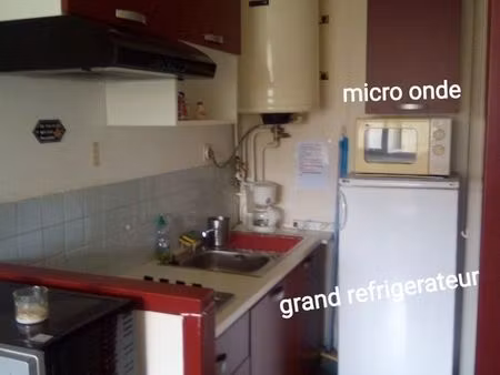 studio pied des pistes