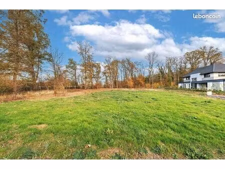 terrain borné et viabilisé