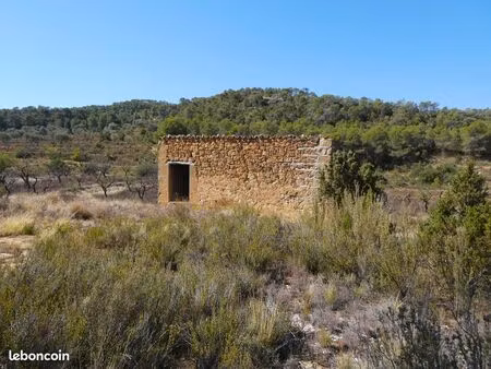 finca a maella (aragón  espagne) - 0959