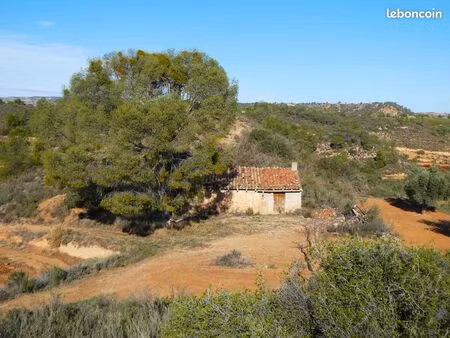 finca a maella (aragón  espagne) - 1037