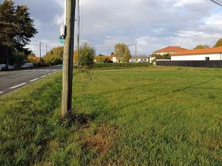 terrain constructible