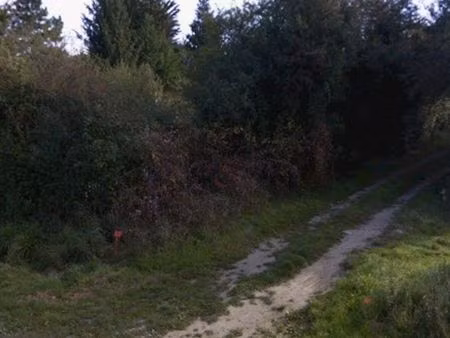 terrain de loisirs boisé