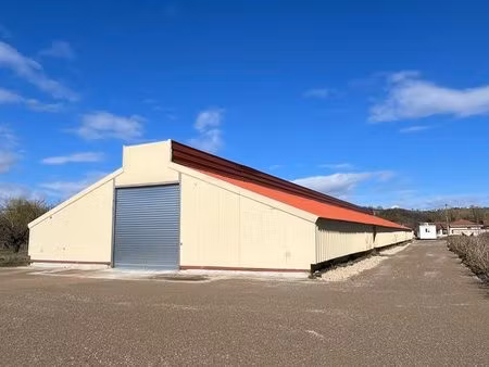 local d'activité dépôt entrepôt stockage 520 m2