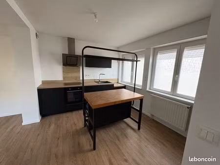 charmant appartement t2 avec jardin à duppigheim