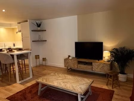 appartement meublé centre ville 50m2