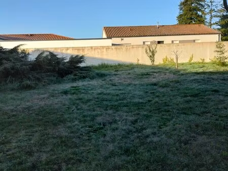 terrain constructible