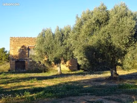 finca a maella (aragón  espagne) - 1087