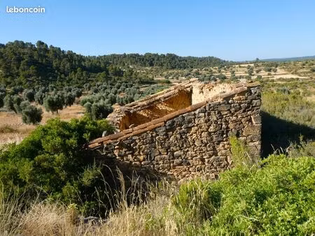 finca a mazaleón (aragón  espagne) - 1072