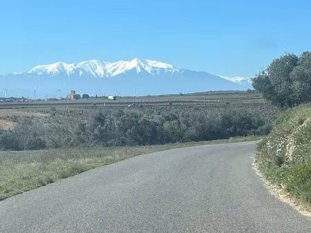 vente terrain 9900 m² à baixas (66390)  9 900 €