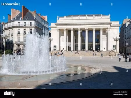 appartement t2 rénové de 48m2 quartier graslin