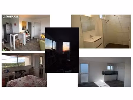 beau t2 lumineux vue sur loire idéal 1 personne