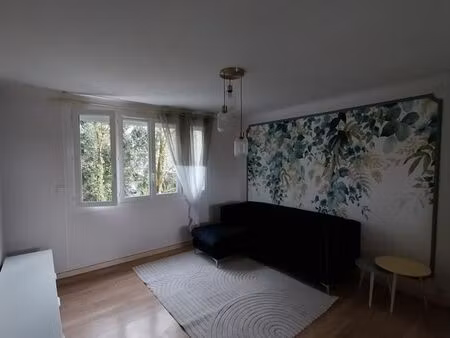 t3 meublé 63m2 vue loire  saint sébastien  proche nantes