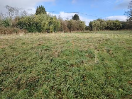 manche periers terrain constructible 1700 m² /5120