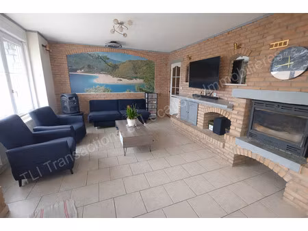 grande maison avec terrain de loisir