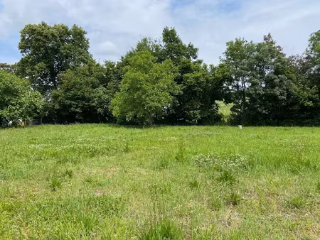 vente terrain 600 m² à saint-quentin-de-baron (33750)  99 900 €