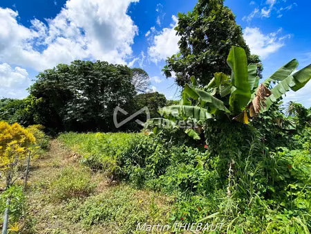 vente terrain à batir 631 m² à le lamentin (97232)  108 000 €