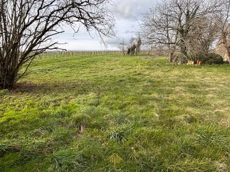 entre barbezieux et chateauneuf  terrain a batir