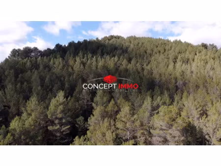 terrain de loisir 2 41 ha