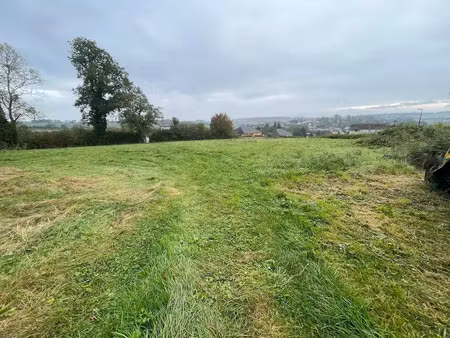 vente terrain à batir 4360 m² à signy-l'abbaye (08460)  90 000 €