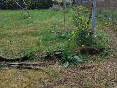 cherche maison a louer sur les communes du 79160