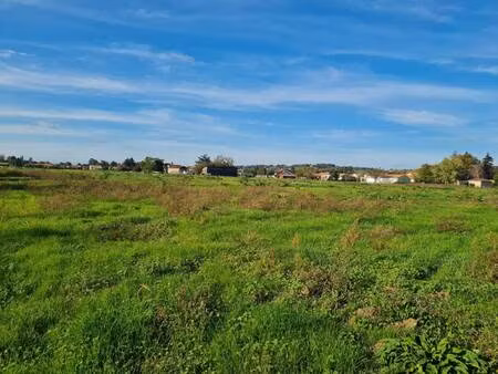 testut marie-claire e.i.