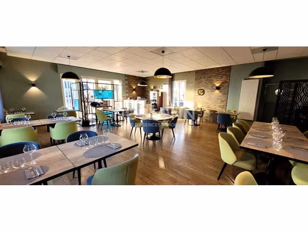 vente locaux professionnels 5 pièces 299 m² à saint-georges-sur-cher (41400)  154 000 €