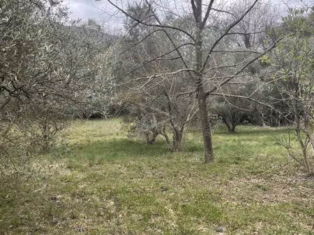 vente terrain constructible clermont l'herault  122 000€ hérault languedoc roussillon n°