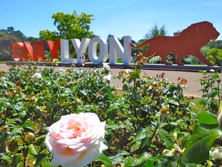 à vendre dpt rhône (69) – résidence de standing avec piscine : t3 entièrement rénové avec 