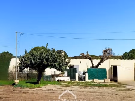 alleins  deux maisons mitoyennes de 40m2 chacune  établies en zone agricole sur uneparcell