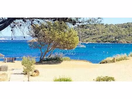 propriété avec piscine en bord de mer bormes-les-mimosas (83)